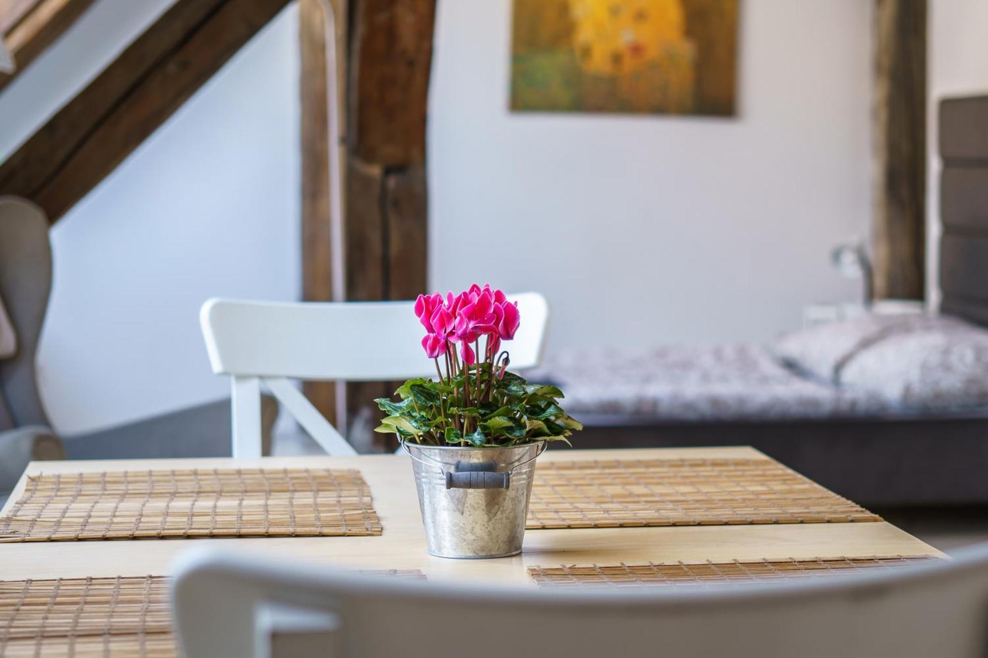 Central Living Apartments - Berggasse Виена Екстериор снимка