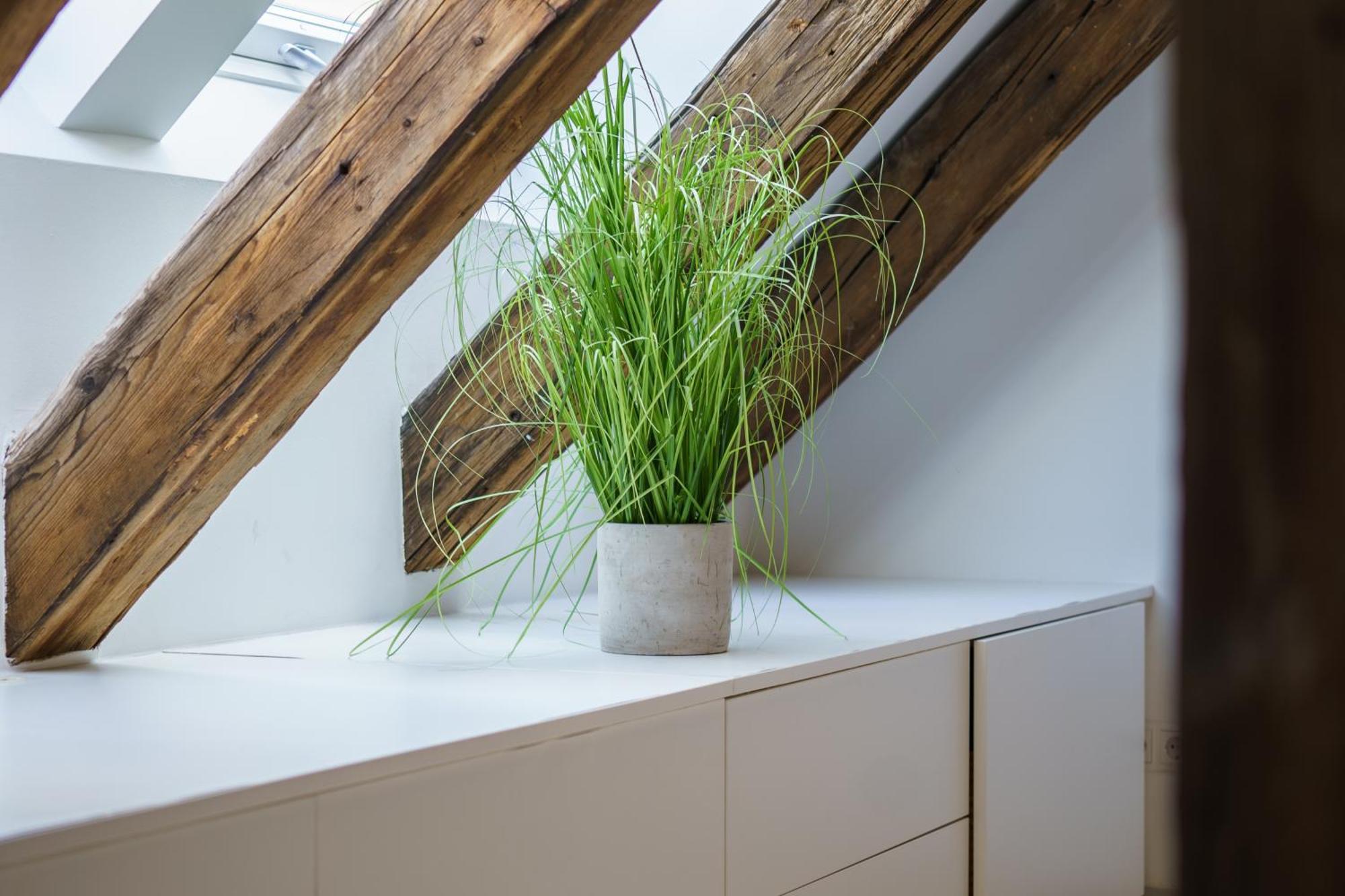 Central Living Apartments - Berggasse Виена Екстериор снимка